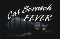 Batman-The-Animated-Series-Cat-Scratch-Fever