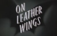 Batman-The-Animated-Series-On-Leather-Wings