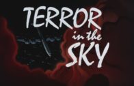 Batman-The-Animated-Series-Terror-in-the-Sky