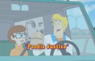 Poodle Justice