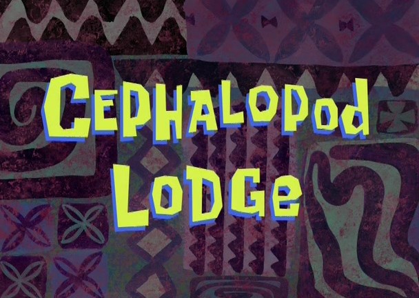 Cephalopod-Lodge