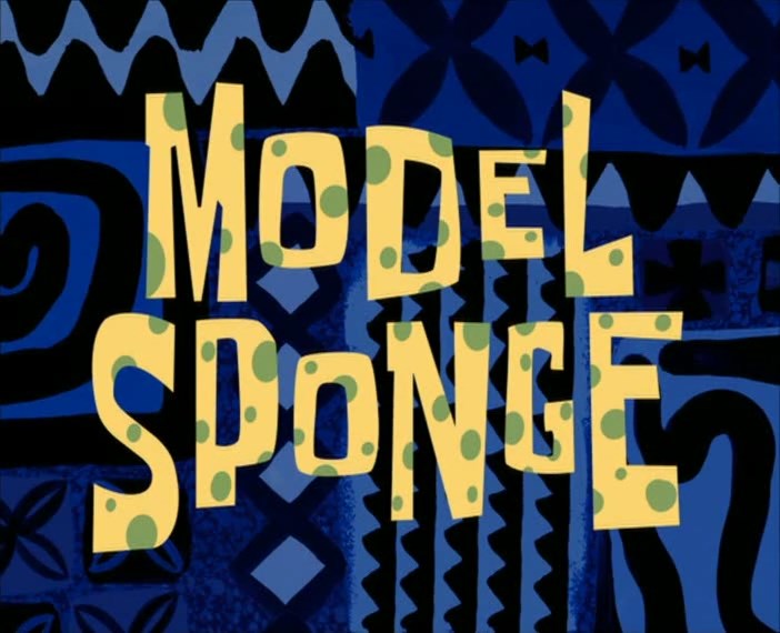 Model-Sponge