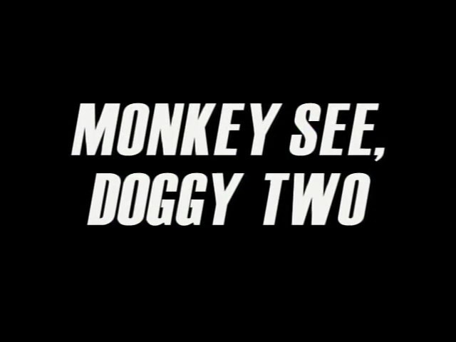 Monkey-See-Doggy-Two