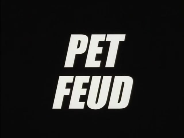 Pet-Feud