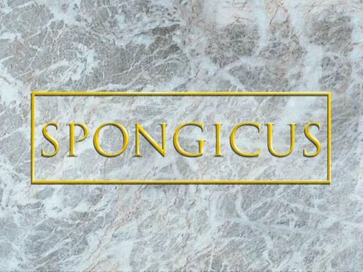 Spongicus