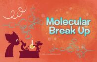 The-Tom-and-Jerry-Show-Molecular-Breakup