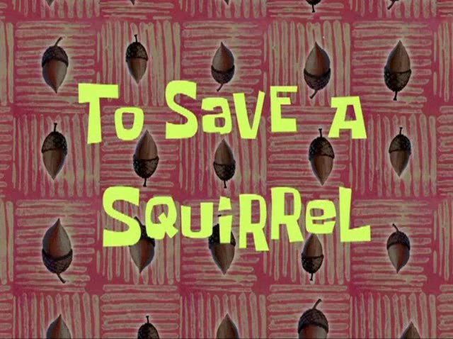 To-Save-a-Squirrel