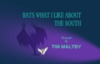 Tom-and-Jerry-Tales-Bats-What-I-Like-About-the-South