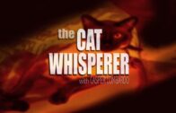 Tom-and-Jerry-Tales-The-Cat-Whisperer-with-Casper-Lombardo