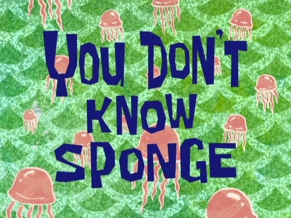 You-Dont-Know-Sponge