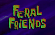 feral-friends