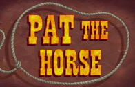 pat-the-horse