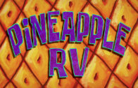 pineapple-rv