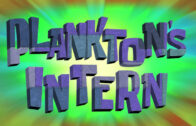 planktons-intern