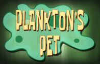 planktons-pet