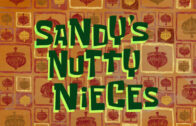 sandys-nutty-nieces