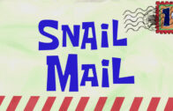 snail-mail