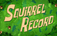 squirrel-record