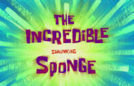 the-incredible-shrinking-sponge