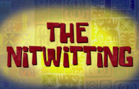 the-nitwitting