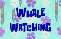 whale-watching